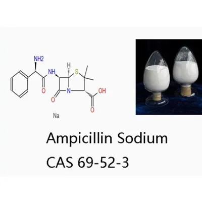 Antibiotik Perubatan Veterinar Ampicillin Natrium Powder Cas 69-52-3